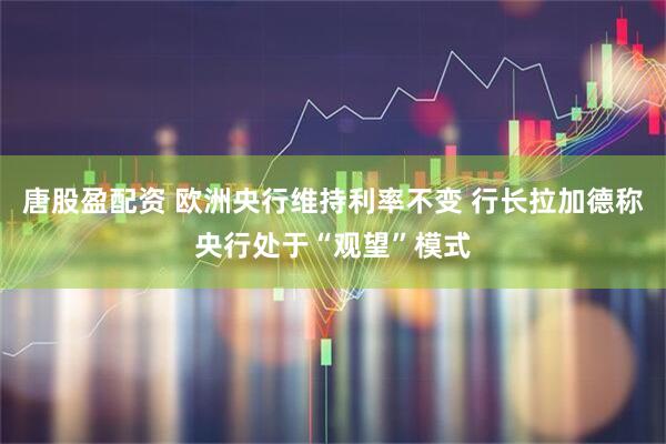 唐股盈配资 欧洲央行维持利率不变 行长拉加德称央行处于“观望”模式